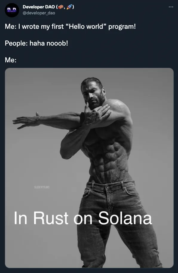 Rust programming language logo representing Solana development
